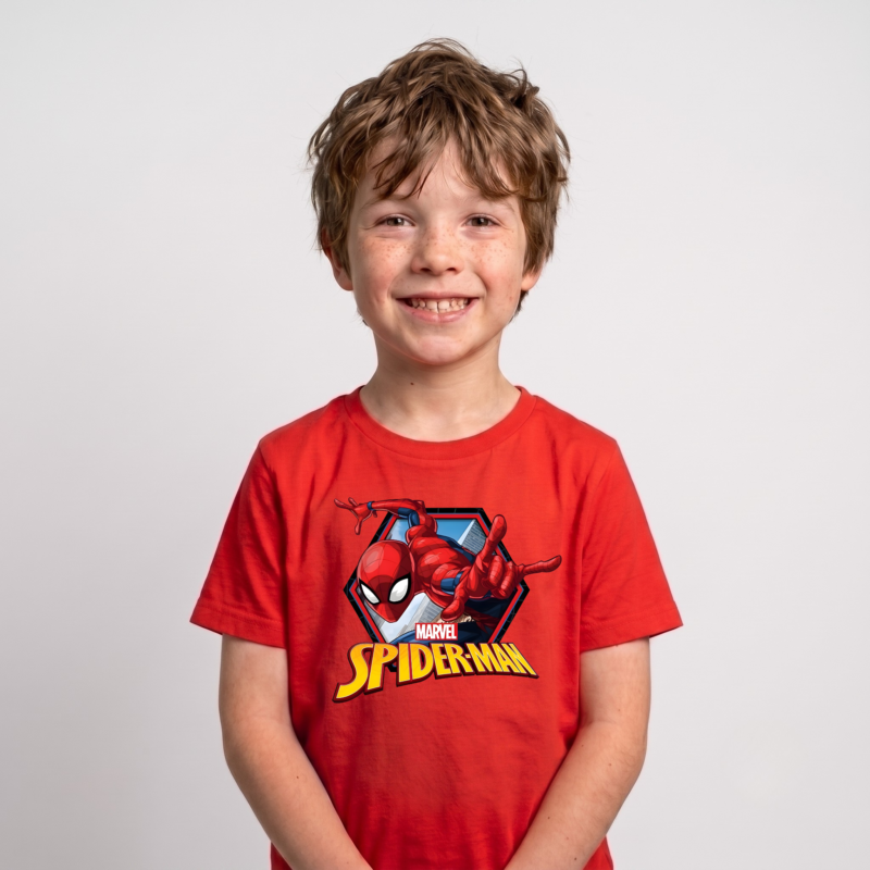 The Spider-man t-shirt